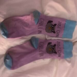 Pink and blue just chinchillin